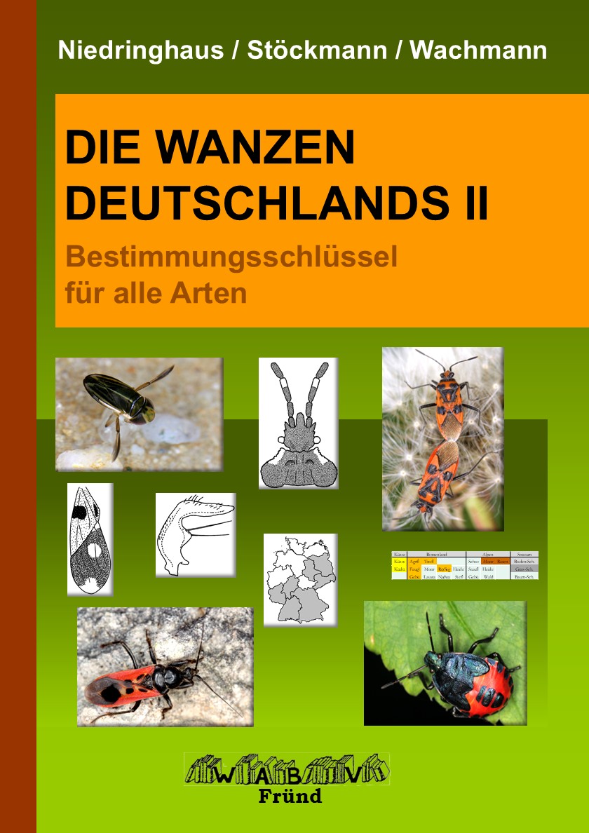 Wanzen Bestimmungsschlüssel